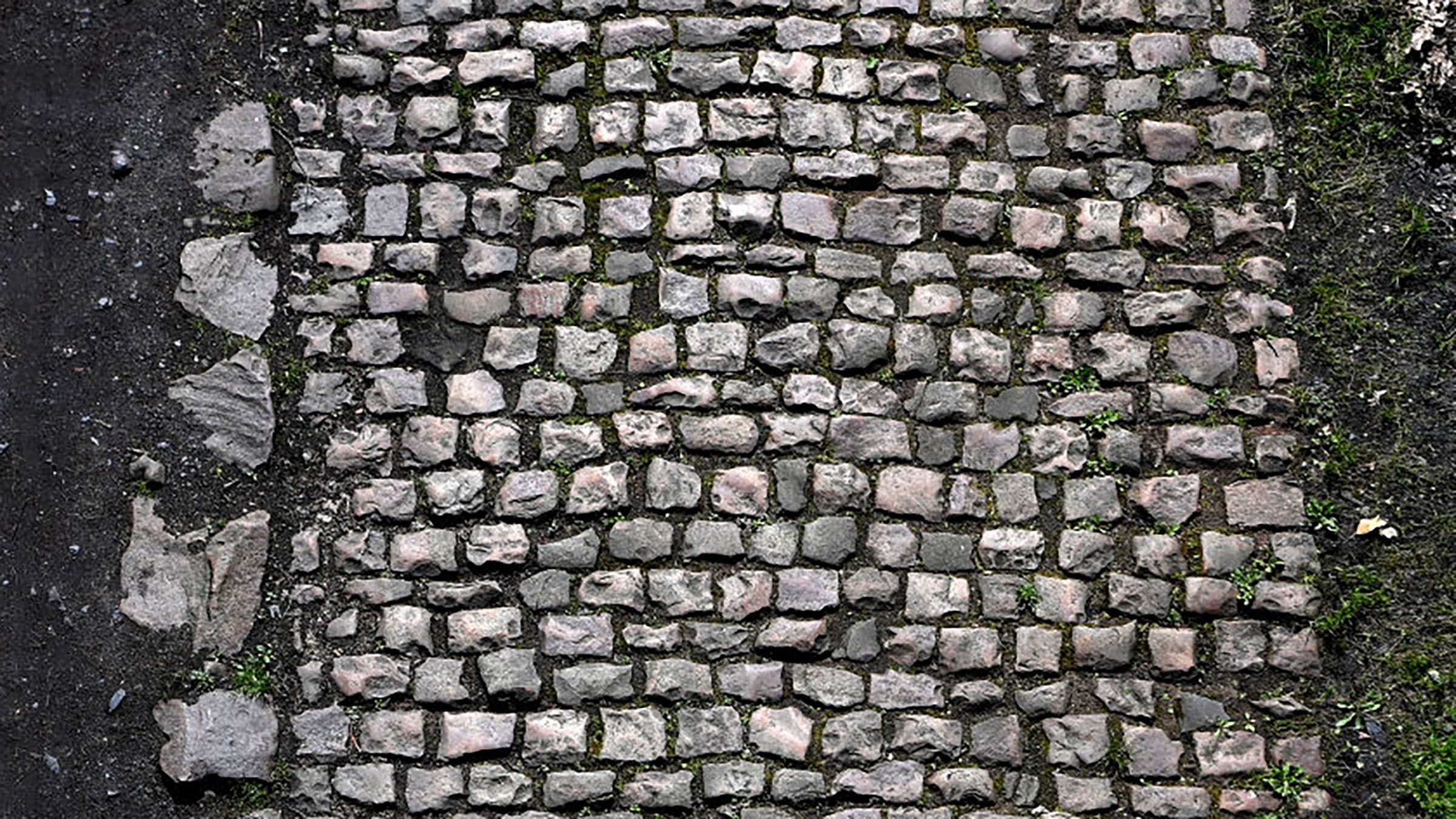 파리-루베 자갈 도로절도